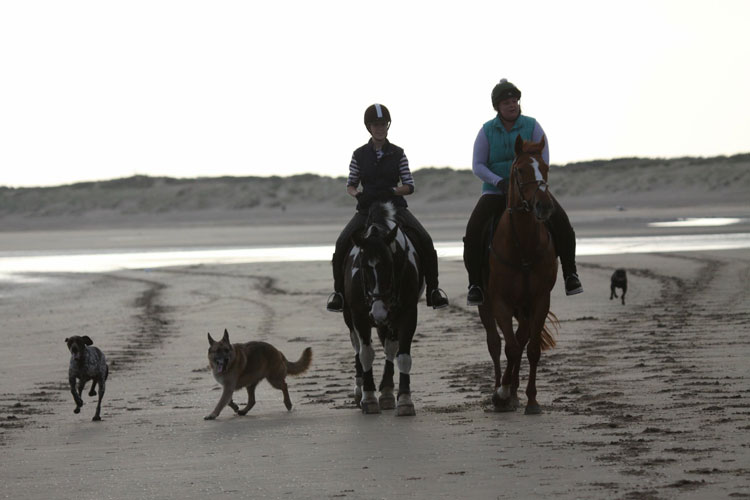 Horse riders at Camber