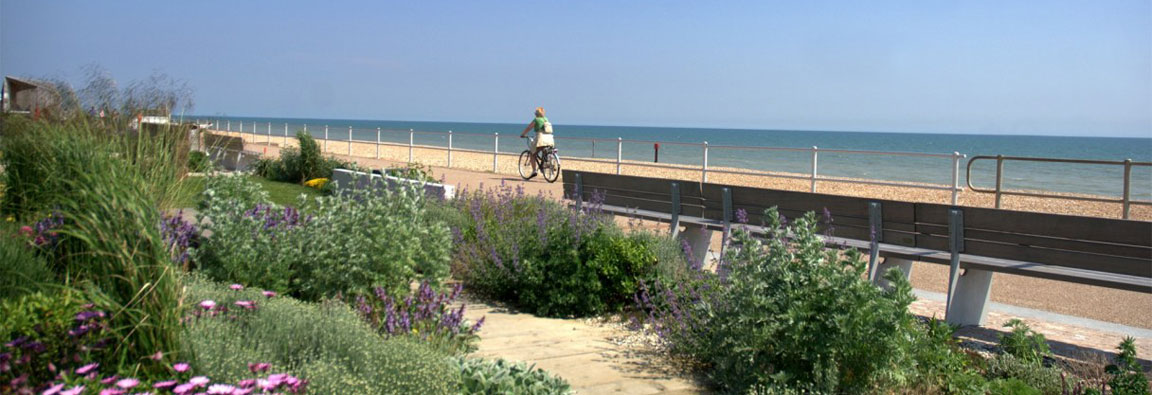 Cycling on the promenade